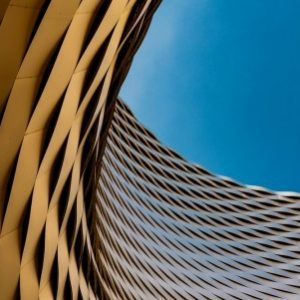 Groepslogo van Architectuur 